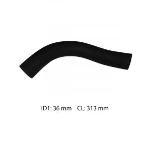 Dayco Moulded Radiator Hose