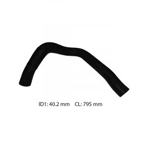 Dayco Moulded Radiator Hose