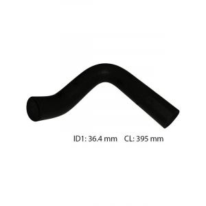 Dayco Moulded Radiator Hose