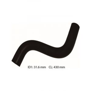 Dayco Moulded Radiator Hose