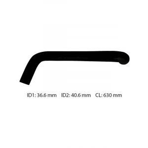 Dayco Moulded Radiator Hose