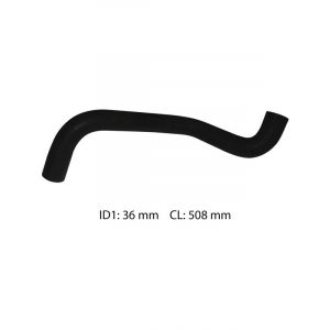 Dayco Moulded Radiator Hose