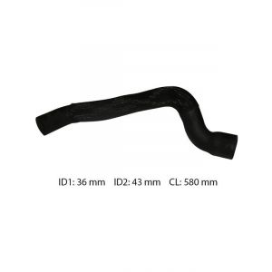 Dayco Moulded Radiator Hose
