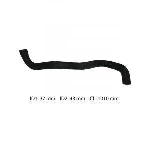 Dayco Moulded Radiator Hose