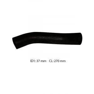 Dayco Moulded Radiator Hose