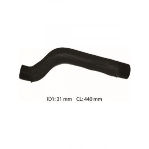 Dayco Moulded Radiator Hose
