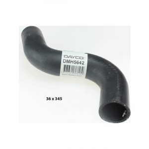 Dayco Moulded Radiator Hose