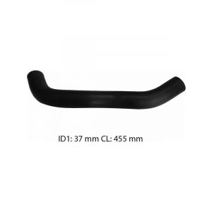 Dayco Moulded Radiator Hose