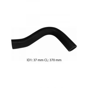 Dayco Moulded Radiator Hose