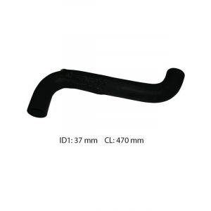 Dayco Moulded Radiator Hose