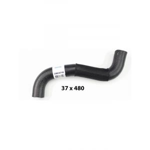 Dayco Moulded Radiator Hose