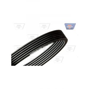 Optibelt V-Ribbed Belt