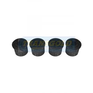 Transgold Rear Spring Front Eye Bush