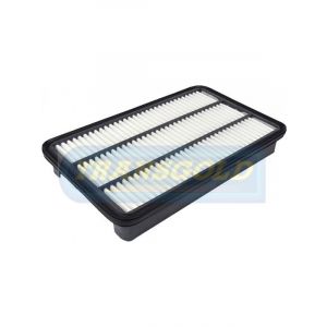 Transgold Air Filter