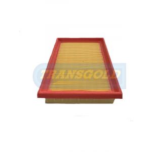 Transgold Air Filter