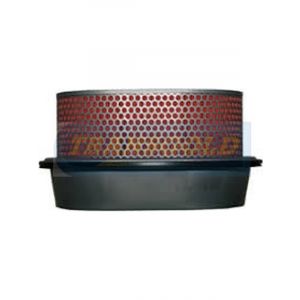 Transgold Air Filter
