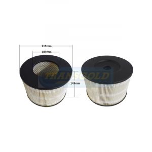 Transgold Air Filter
