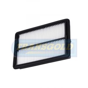 Transgold Air Filter