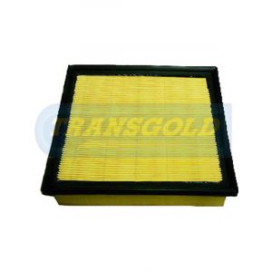Transgold Air Filter