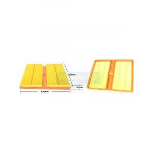 Transgold Air Filter