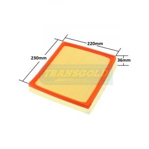 Transgold Air Filter