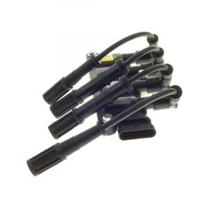 PAT Ignition Coil