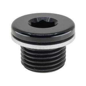 Raceworks M12 x 1.5 In Hex Plug w/ Washer