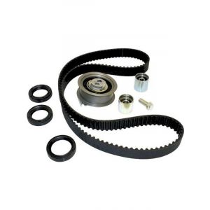 BWS Timing Belt Kit