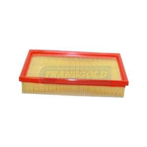Transgold Air Filter