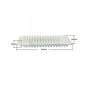 Transgold Air Filter