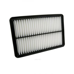 Ryco Air Filter