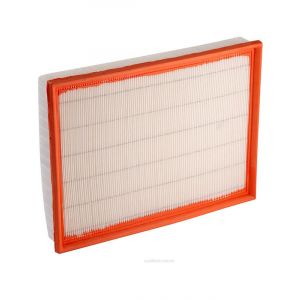 Ryco Air Filter