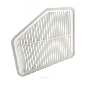 Ryco Air Filter