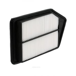 Ryco Air Filter