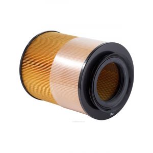 Ryco Air Filter