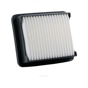 Ryco Air Filter