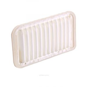 Ryco Air Filter