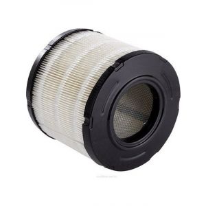 Ryco Air Filter