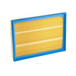 Ryco Air Filter