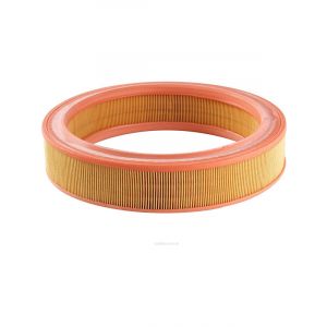 Ryco Air Filter