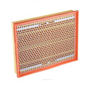 Ryco Air Filter