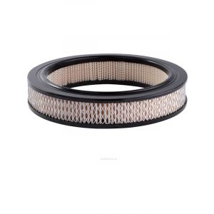 Ryco Air Filter