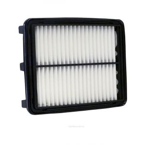 Ryco Air Filter
