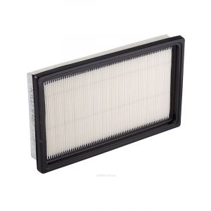 Ryco Air Filter