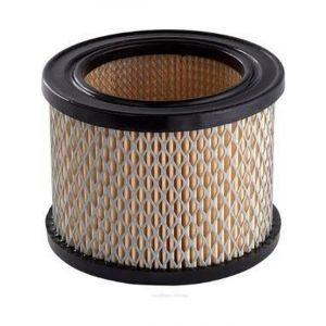 Ryco Air Filter