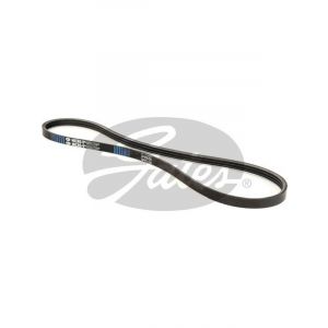 Gates Micro-V Ribbed Belt